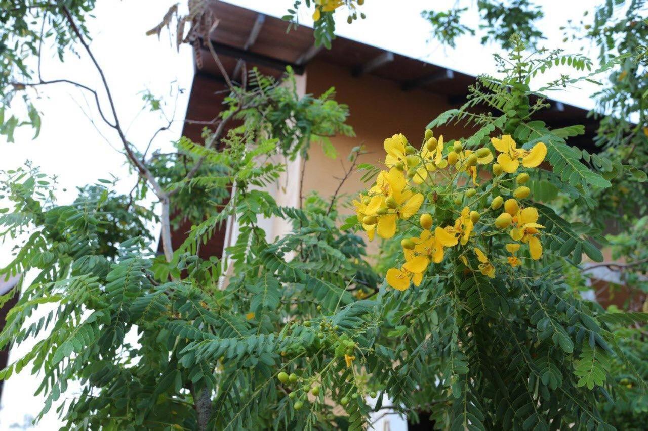 Lolu Village Resort アヌラーダプラ エクステリア 写真